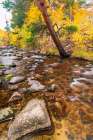 Fall color along Bishop Creek-Inyo National Forest-California-USA Art Print